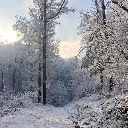 The Apple 度假居 杜柏